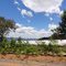 WAY TO ANDRADAS CITY - MINAS GERAIS STATE - BRASIL - SOUTH AMERICA