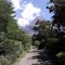 Estrada da Barreira