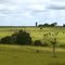 Panorâma (Cenário Rural Pecuária)