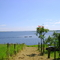 Rio Bonito