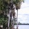 Lagoa em Cocalinho, MT