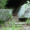 Nature Trail, Fairfield Bay, Arkansas