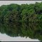 O Piracicaba - Limeira - SP - BRASIL.