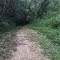 caminho boas novas