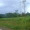 URUANA DE MINAS-MG