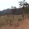 Cachoeira da Jibóia visto de longe