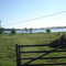 estancia Cassimiro Sta Clara D´Oeste