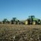 CULTIVO - GRUPO KOBRA AGRICOLA