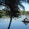 árvores do Lago IV