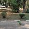 calçamento de paralelepípedos - Lago Municipal de Araras-SP