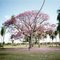 FAZENDA JUAZEIRO