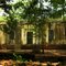 Rancho Abandonado - Rio Pardo - Tambaú - SP
