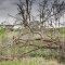 Caldwell County Texas - Drought