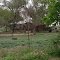 A small house in Caldwell County, Texas