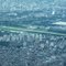 Campo de Marte - São Paulo - SP - BR