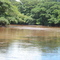 Rio Diamantino - Faz. Estrela Dalva
