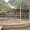 beira do rio grande , uberaba