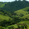 Monte Verde