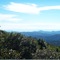 Monte Verde