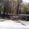 After The Texas Wildfire 2011