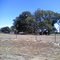 After The Texas Wildfire 2011