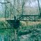 Bridge along trail