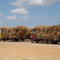 BIO-ETHANOL CANE TRUCKS