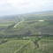 wind turbines from the air