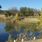 Lake Sweetwater Texas Golf