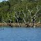 Represa de São Salvador - Tocantins - Brasil