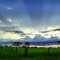 Entardecer - Selviria - MS