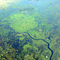 Brejo do rio Taboco, Taboco river marsh