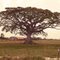 road trip > uruguay > pampa