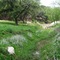 Middle Creek