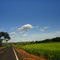 horizonte distante