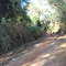 estrada velha "Pratânia/Avaré