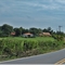 Sítios às margens da rodovia Rafard/Porto Feliz