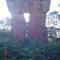 Cidade Pedra MT