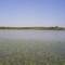 barragem guabiju