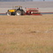 Semeando Milho  Corn Seedling