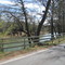 sur les bords de la guadalupe river