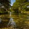 Evening on the Sabinal River