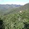 Linda vista da mata que margeia a estrada de Macaé de Cima.