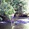 Rio Taquarí