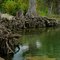 Rio Frio 2