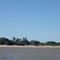 figueira e palmeiras - costa da lagoa dos patos