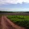 Fazenda Três de Ouro