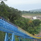 Mirabela Brasil e Austrália, a long belt.