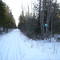 Old Veazie Railroad Bed