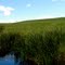 Reflected Sky